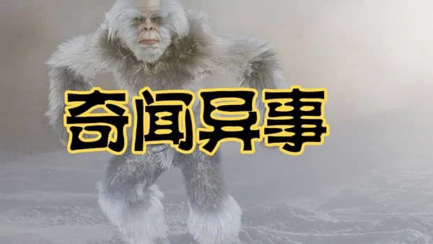 世界奇闻异事录