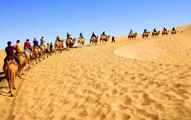 新疆胡杨林全世界最美