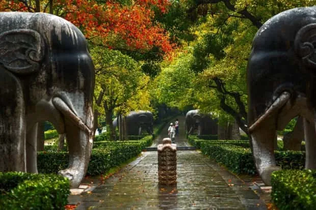 南京紫金山秋色惹人醉