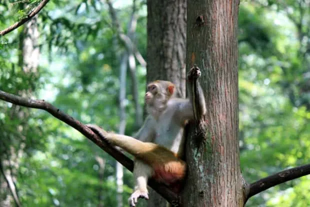 张家界秋色美如画　