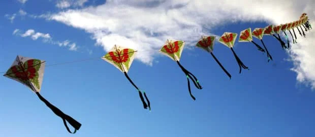 春光明媚话风筝