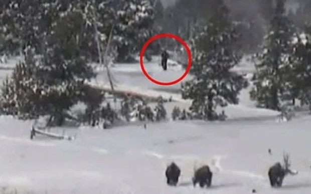 “大脚怪”传闻再次搅动世界