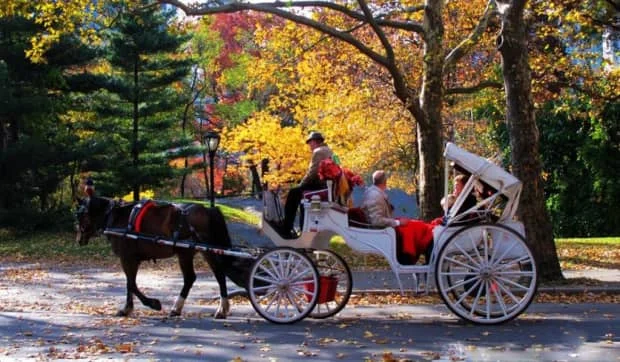 惊世骇俗的尼泊尔汽车文化