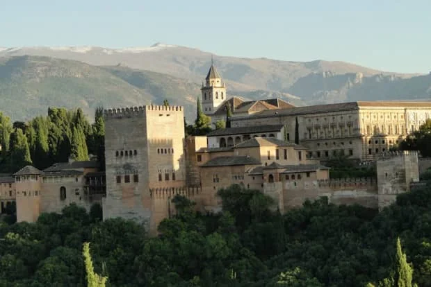 欧洲“斗牛士”能跳多高？